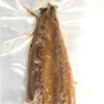 DK09